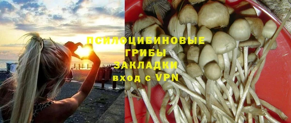 хмурый Алексеевка