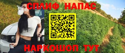 PSILOCYBIN Владимир