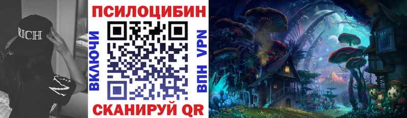 Псилоцибиновые грибы Psilocybine cubensis  сколько стоит  Кудрово 