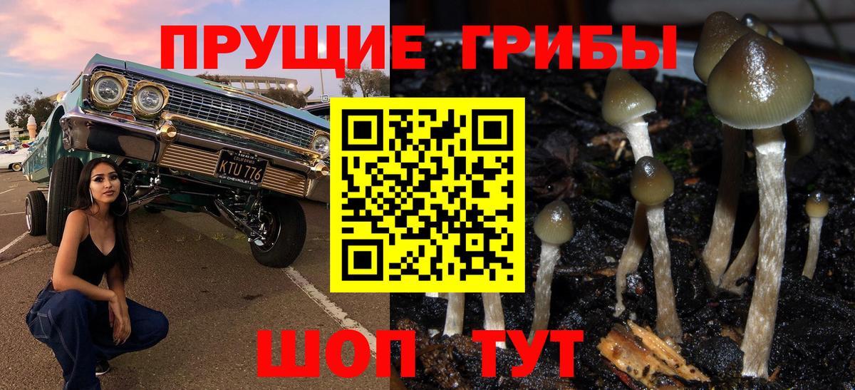 Псилоцибиновые грибы мицелий  Вход с VPN  Кудрово 