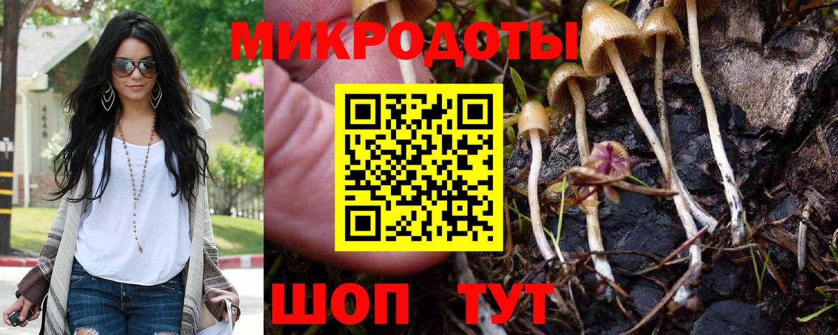 Галлюциногенные грибы MAGIC MUSHROOMS Кудрово